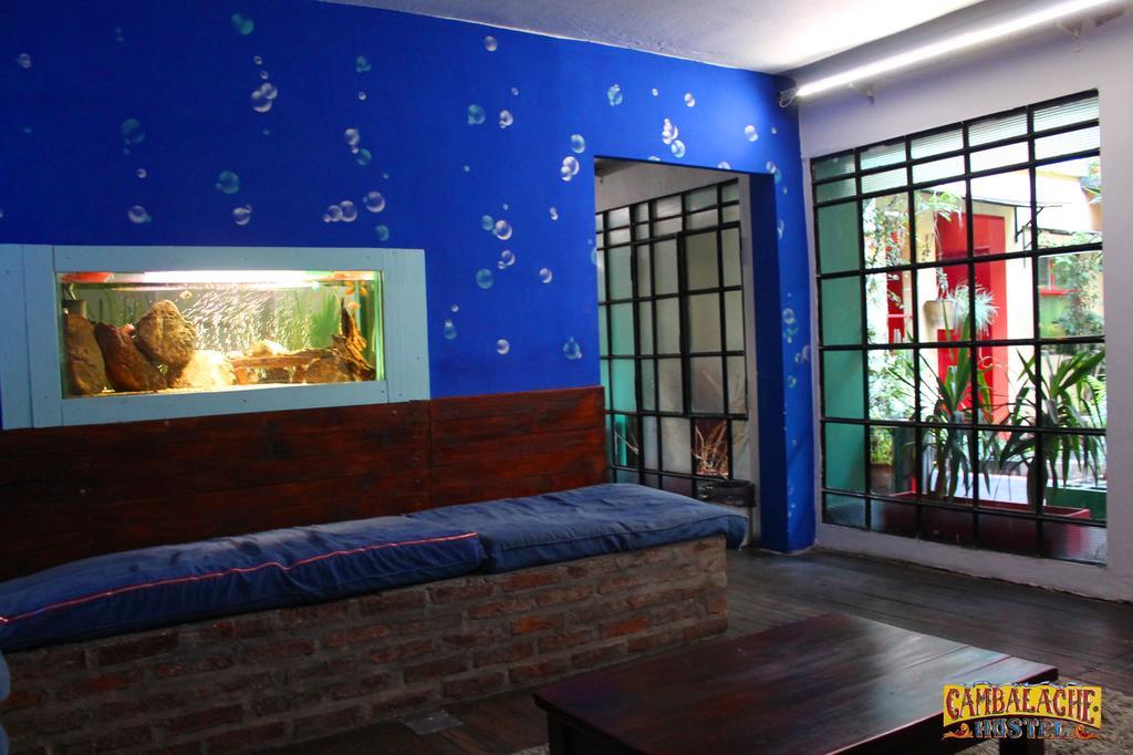 בואנוס איירס Cambalache Hostel חדר תמונה